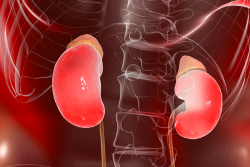 Adrenal disorders at  Nirmal Superspeciality Hospital Mandi GobindGarh