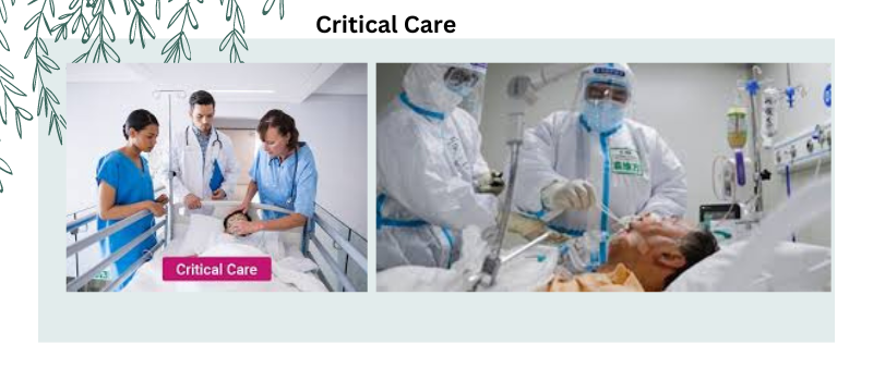 Navigating Critical Care: Insights and Innovations from Medscape