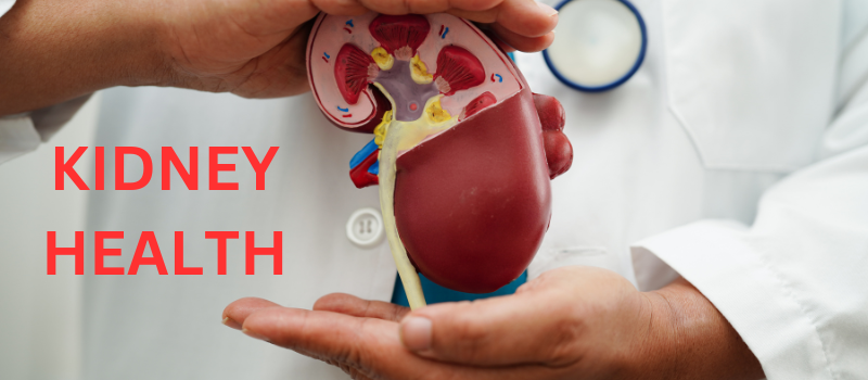 Nurturing Your Kidneys: Essential Tips for Optimal Kidney Health