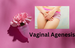 Understanding Vaginal Agenesis: Breaking the Silence and Seeking Solutions