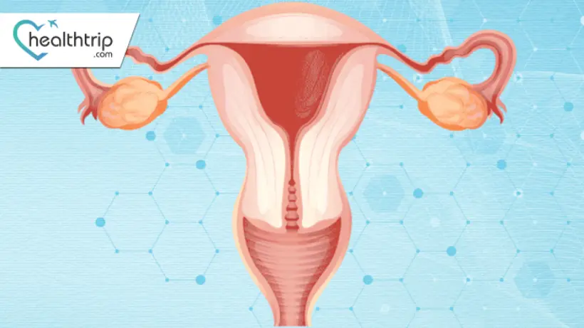Understanding Fallopian Tube Cancer: Symptoms, Diagnosis, and Treatment