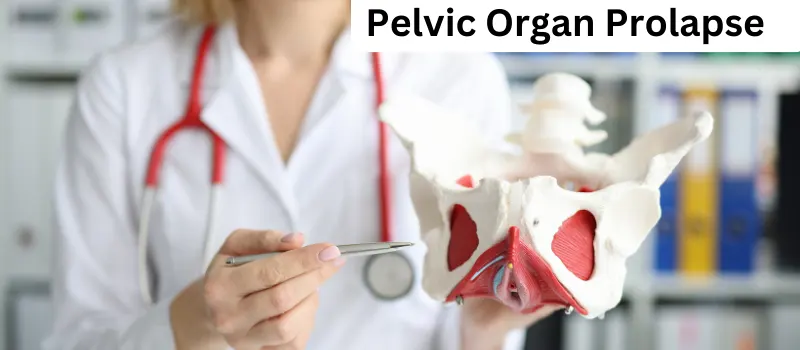 Understanding Pelvic Organ Prolapse: Causes, Symptoms, and Treatment Options