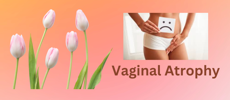 Vaginal Atrophy: