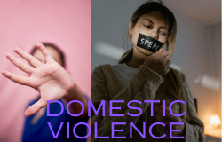  DOMESTIC VIOLENCE 